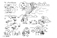 une-annee-avec-la-terre_136