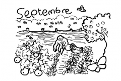 une-annee-avec-la-terre_137