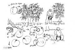 une-annee-avec-la-terre_140
