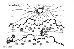 une-annee-avec-la-terre_142