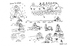 une-annee-avec-la-terre_151