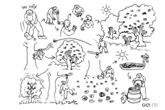 une-annee-avec-la-terre_153