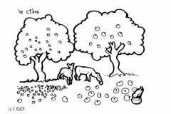 une-annee-avec-la-terre_164
