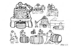 une-annee-avec-la-terre_169