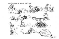 une-annee-avec-la-terre_175