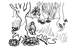 une-annee-avec-la-terre_37
