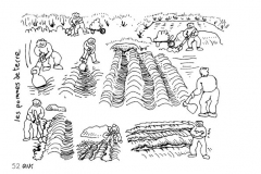 une-annee-avec-la-terre_54