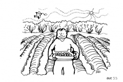 une-annee-avec-la-terre_55
