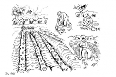 une-annee-avec-la-terre_56
