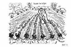 une-annee-avec-la-terre_57