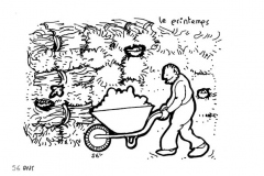 une-annee-avec-la-terre_58