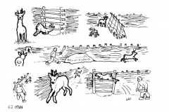 une-annee-avec-la-terre_64