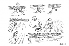 une-annee-avec-la-terre_69