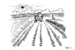 une-annee-avec-la-terre_73