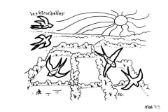 une-annee-avec-la-terre_75