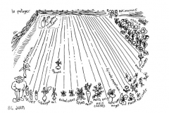 une-annee-avec-la-terre_86
