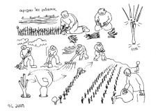une-annee-avec-la-terre_96