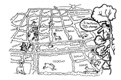 une-annee-avec-la-terre1-215