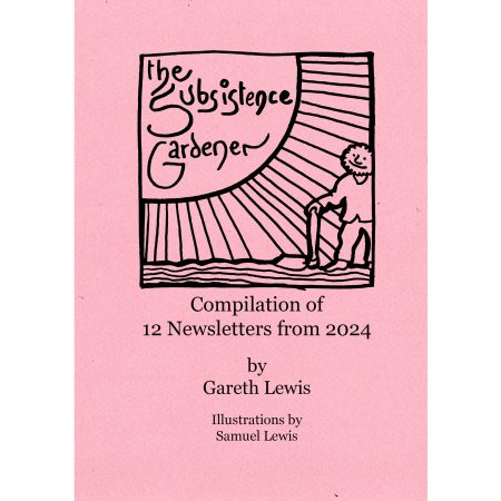 Compilation of 12 Newsletters from 2024