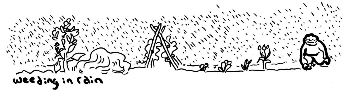 tim_weeding in rain