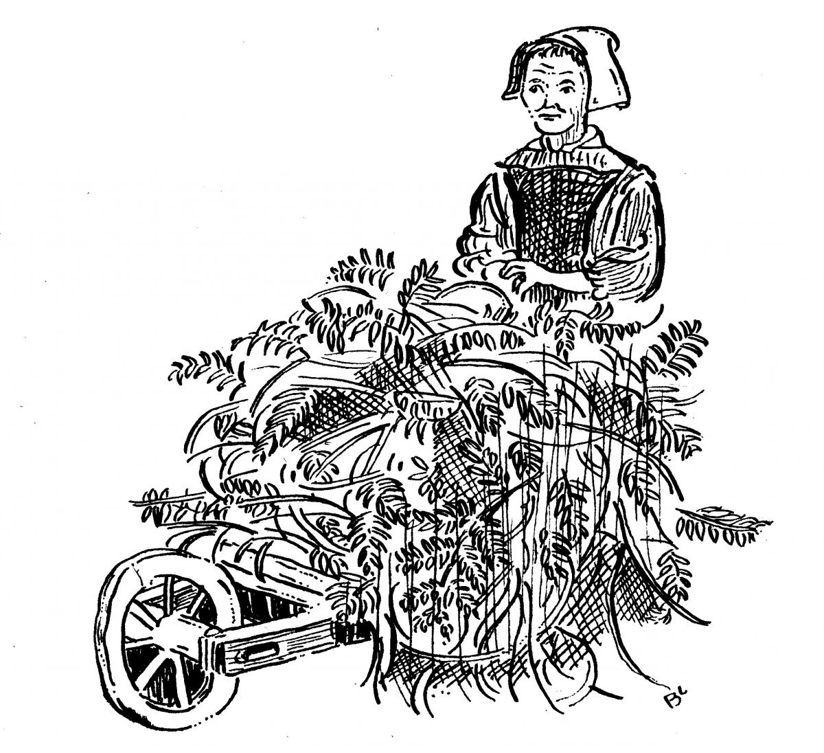 woman with bracken in barrow