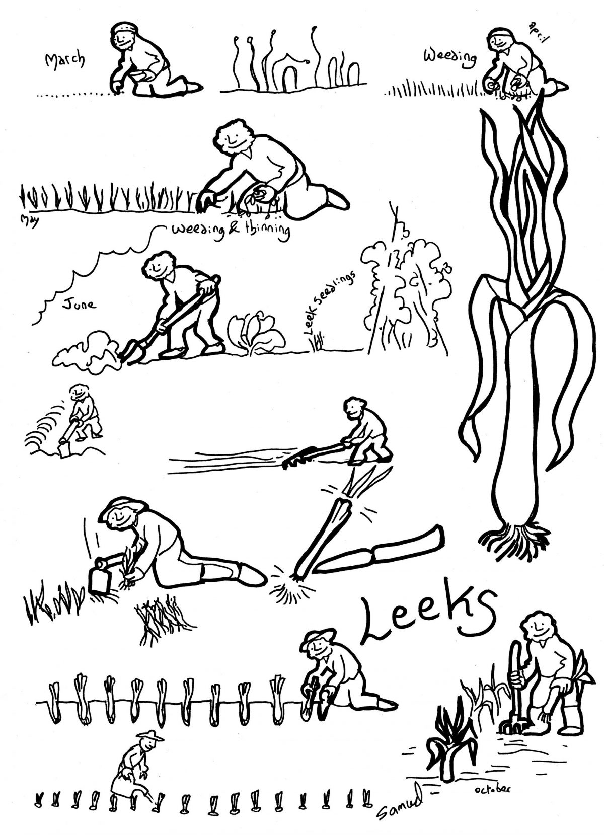 tim_leeks