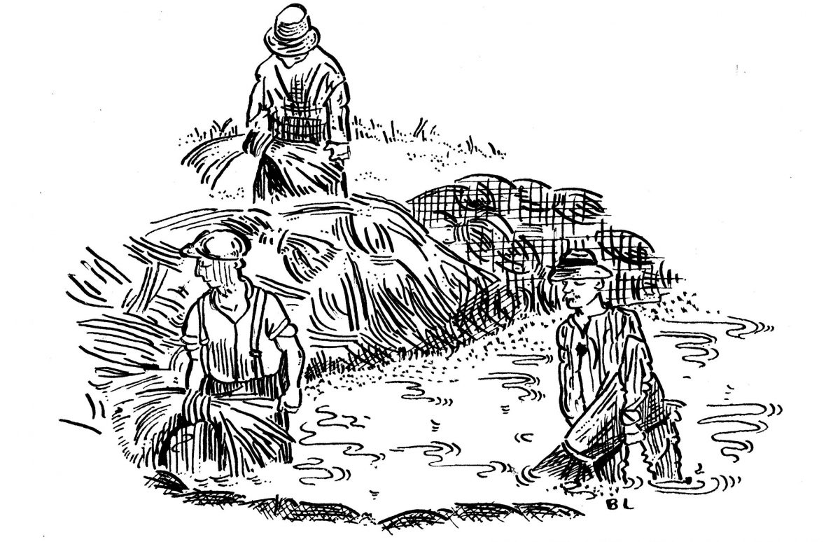 b_retting linen
